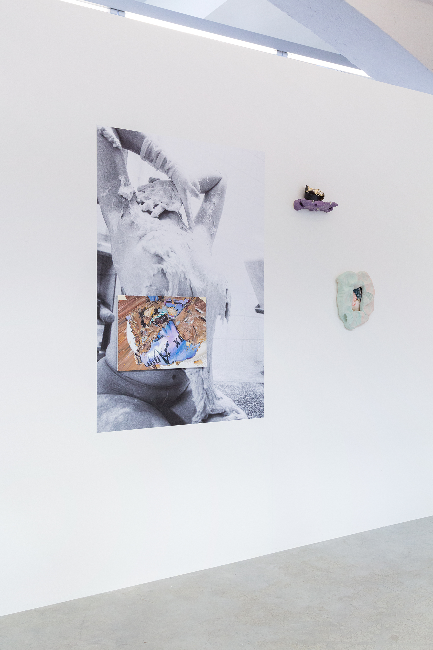 https://mireilleblanc.com/files/gimgs/th-6_Mireille-Blanc-KUNSTHALLE_SeFairePlaisir__055.jpg