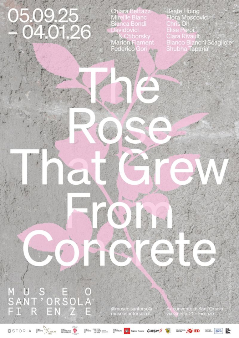 https://mireilleblanc.com/files/gimgs/th-6_The-Rose-that-Grew-From-Concrete-exhibition-Museo-Sant-Orsola_v2.jpg